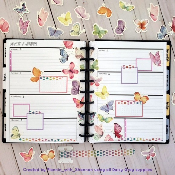 Meet your Posher, Daisy - Picture 14 of 15